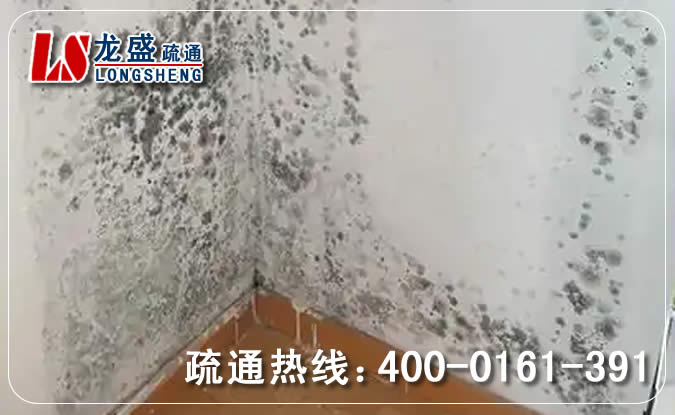 三水区除菌除霉味